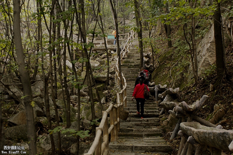 _MG_6645.jpg