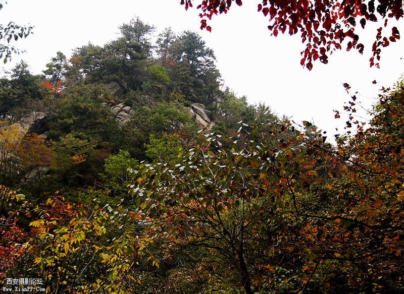 _MG_6651.jpg