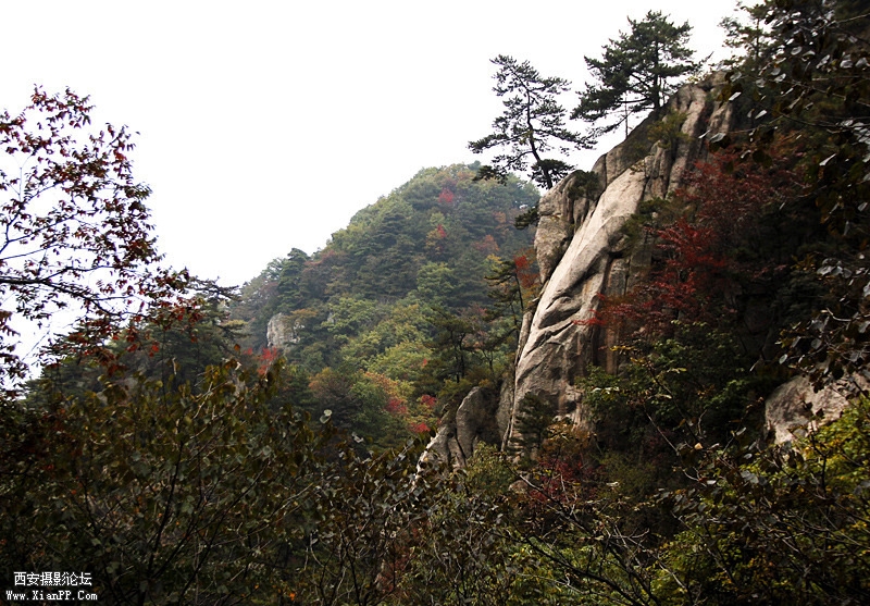 _MG_6655.jpg