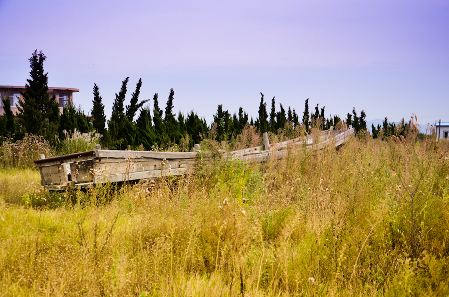 DSC_0492.jpg