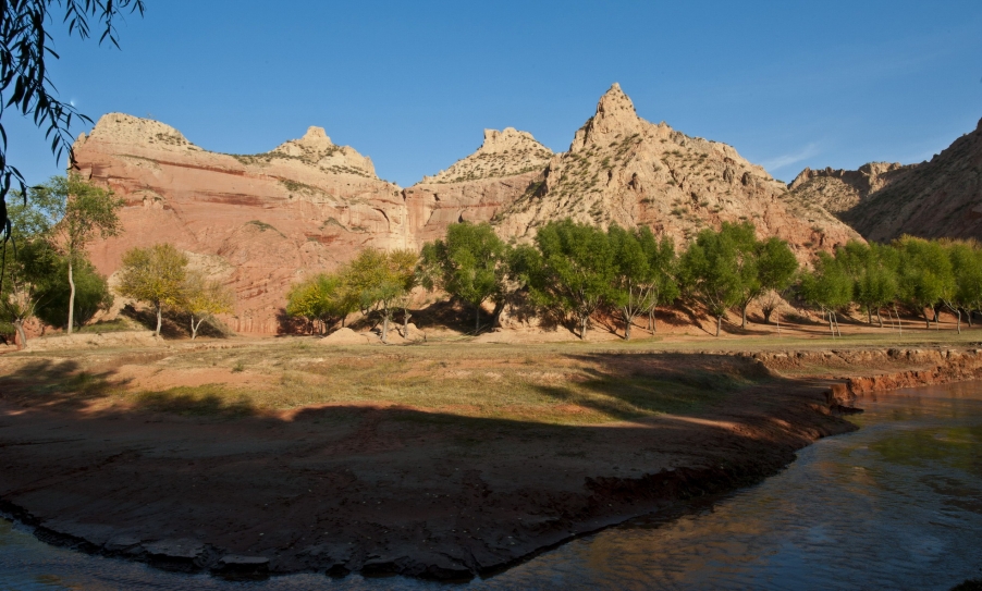 DSC_2941.JPG