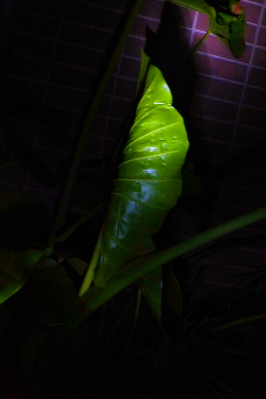 dscf4610_副本.jpg