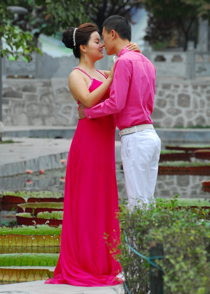 DSC_0393.jpg