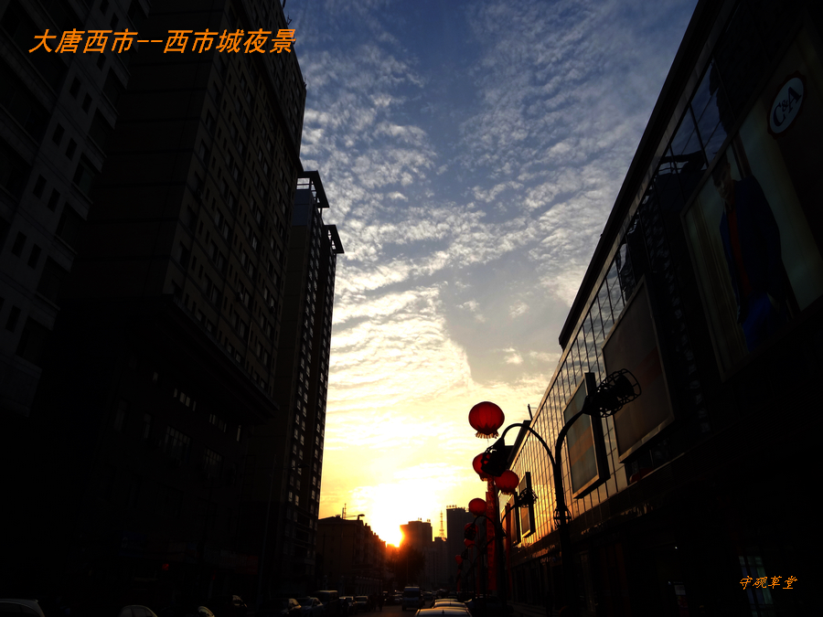 DSC02187.jpg