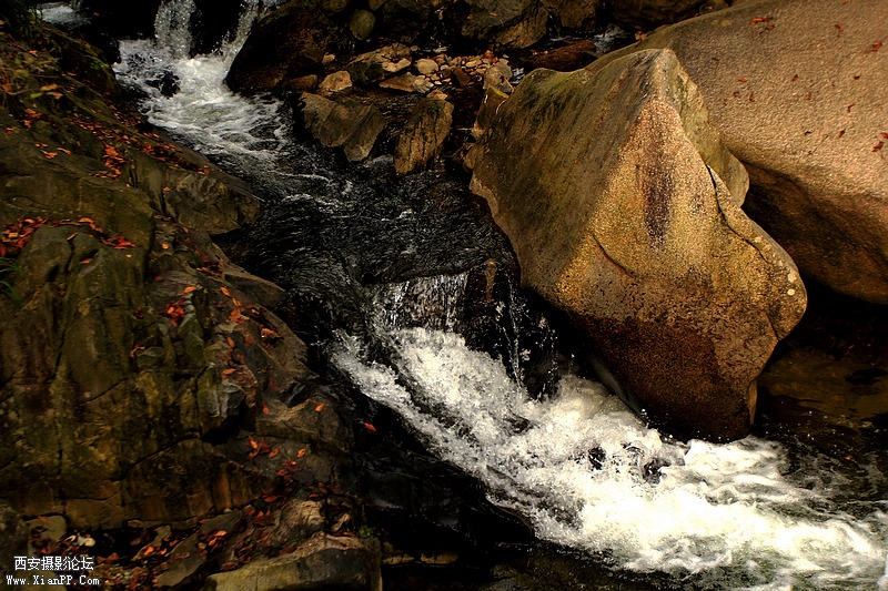 _MG_6811.jpg