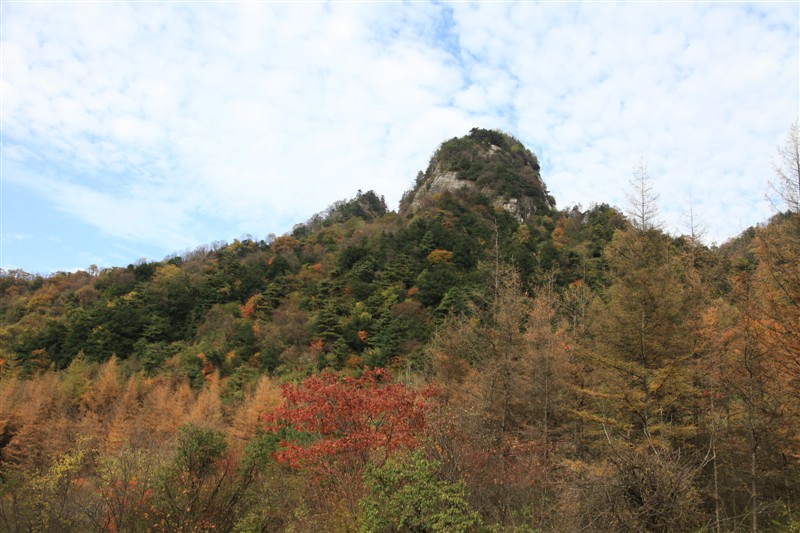 照片 040.jpg