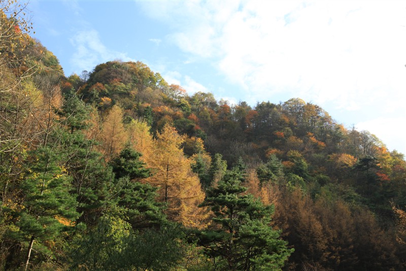 照片 057.jpg