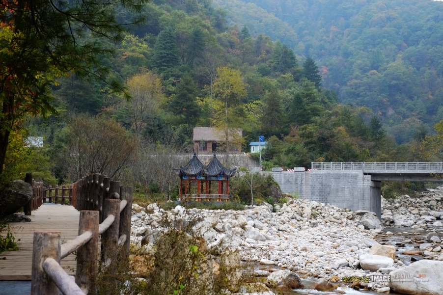 DSCF1823a.jpg