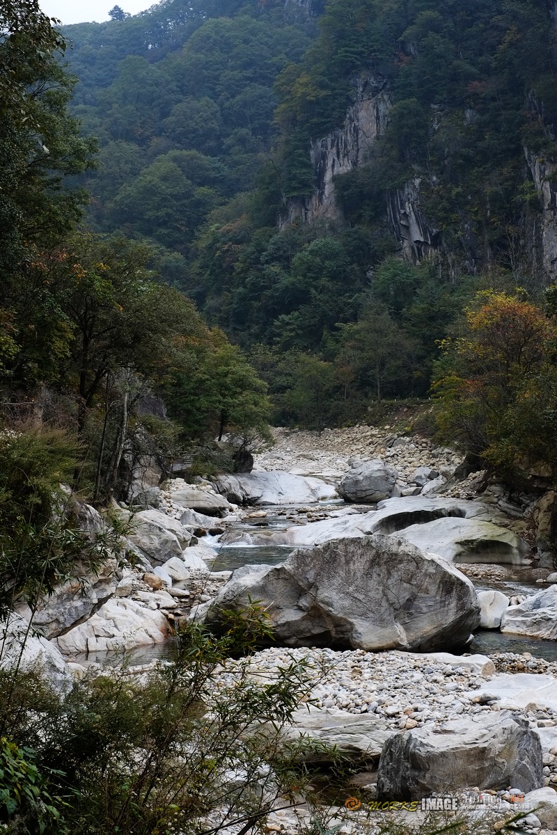 DSCF1863a.jpg