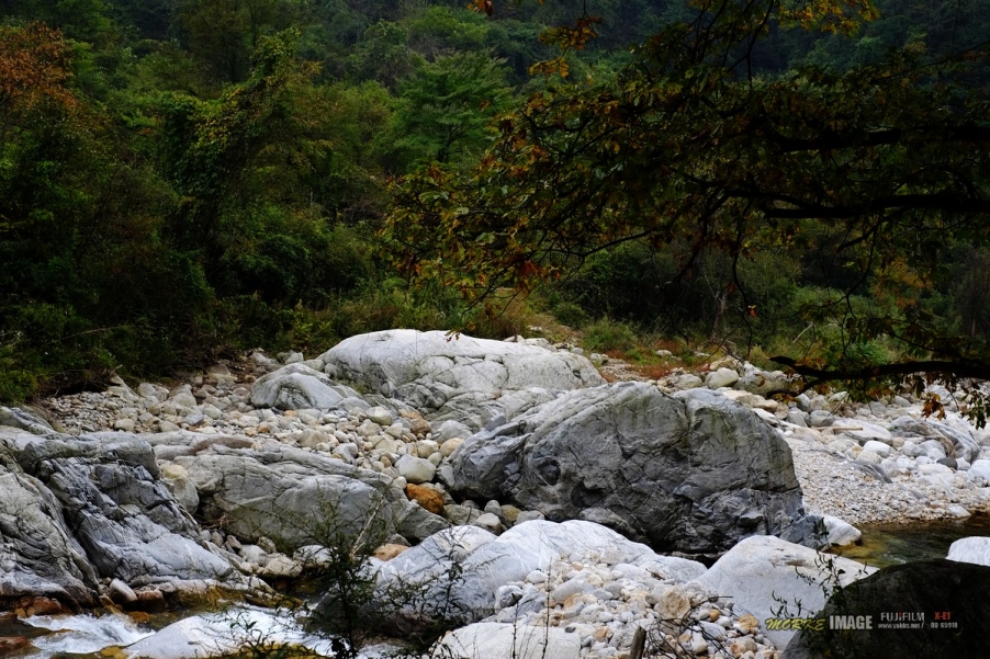 DSCF1873a.jpg