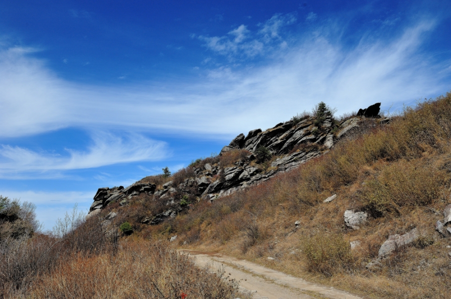DSC_5426.jpg