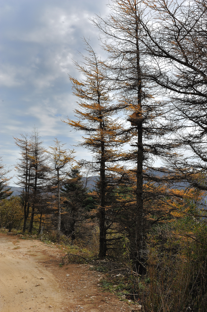 DSC_5590.jpg