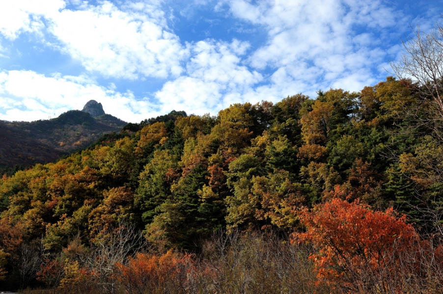 DSC_5636.jpg