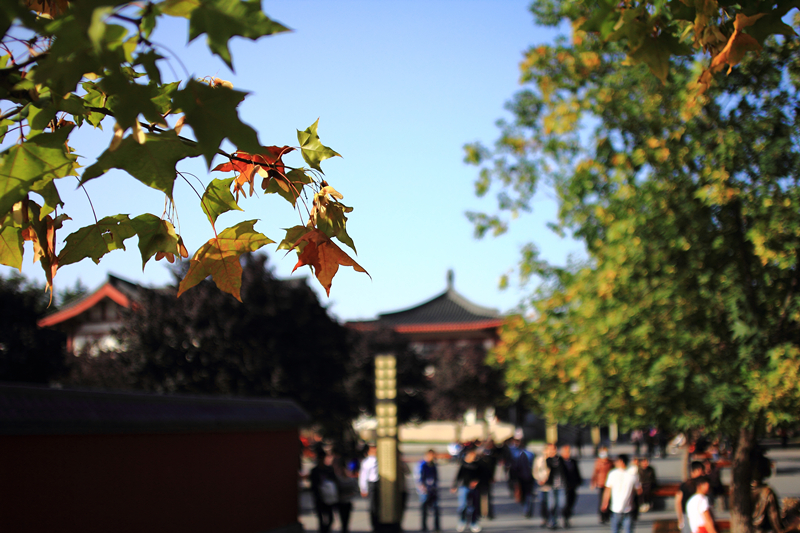 IMG_6214_副本.jpg