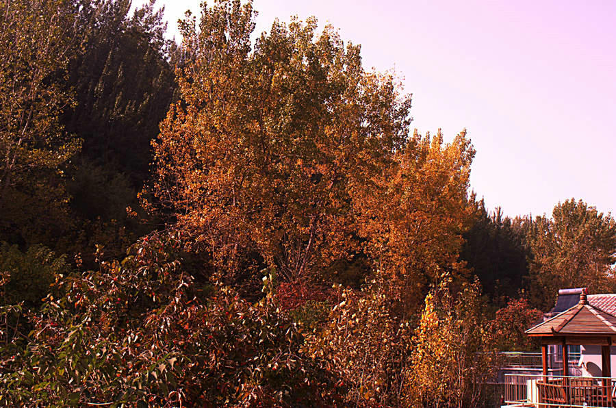 L1021505.jpg
