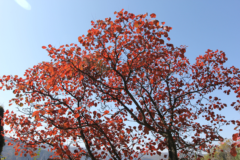 照片 108.jpg