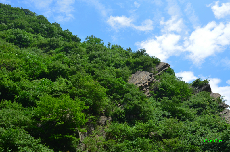 DSC_0170.jpg