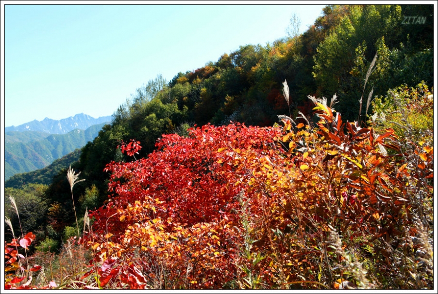 IMG_6550a.jpg