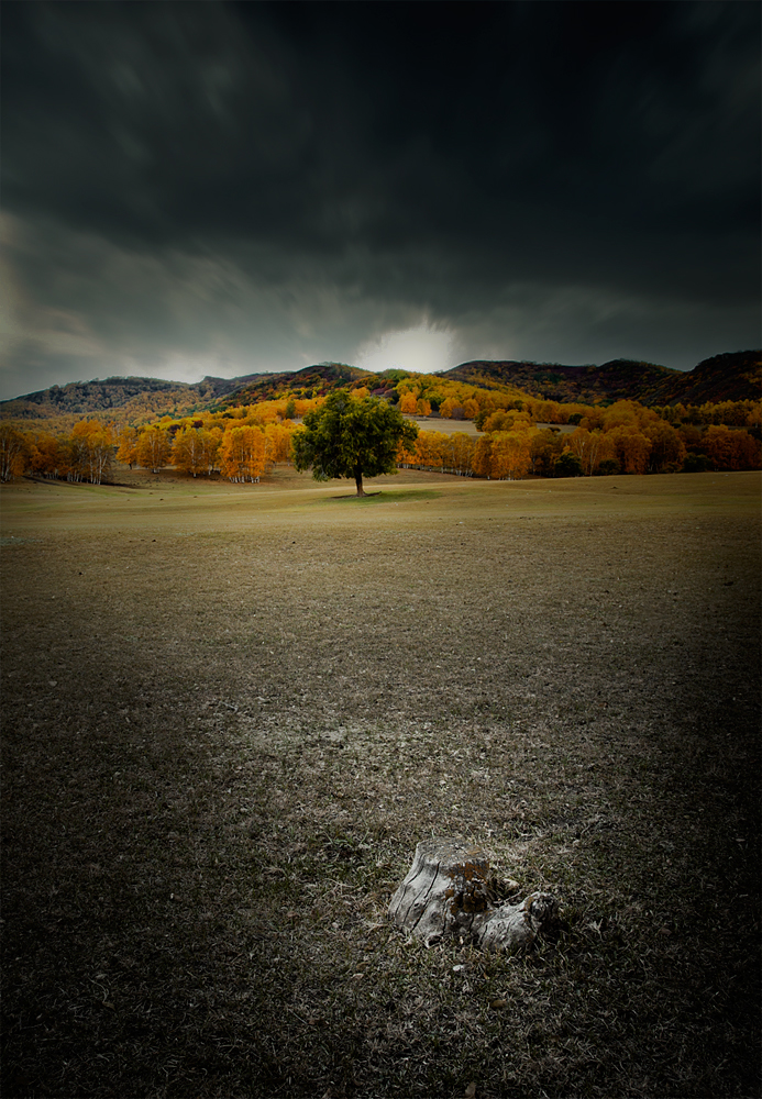 ““““_MG_0116”为智能对象-1”为智能对象-1”为智能对象-1”为智能对象-1.jpg