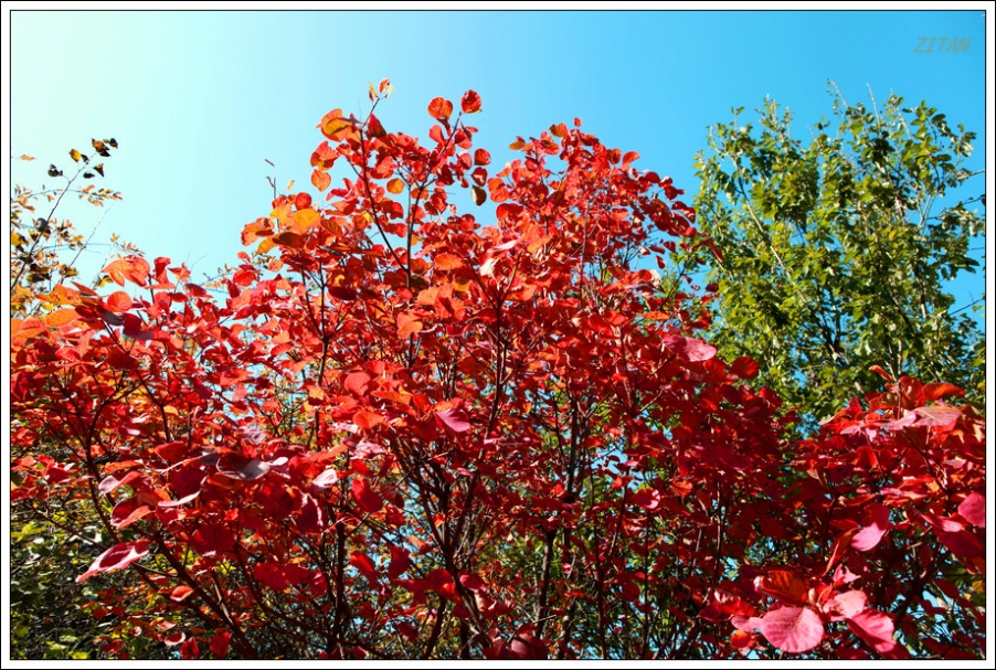 IMG_6849a.jpg