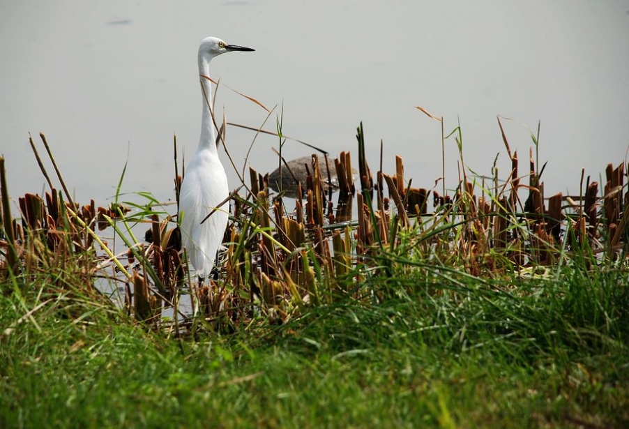 DSC_0542.JPG