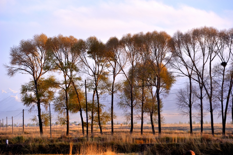 HOU_0544.jpg