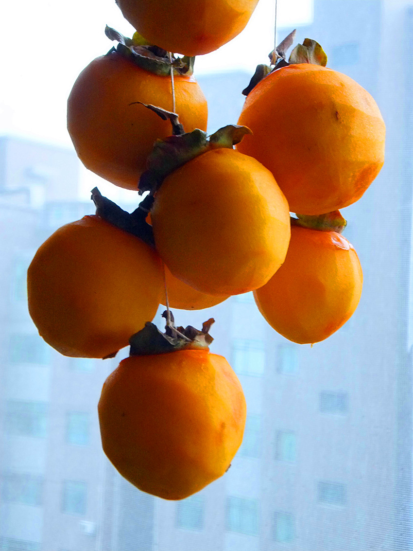 dscf5612_副本.jpg