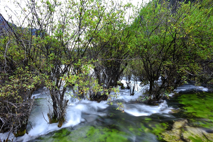 DSC_5331.jpg