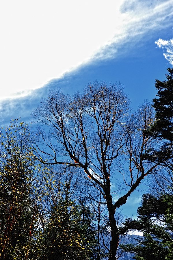 DSC_5656.jpg
