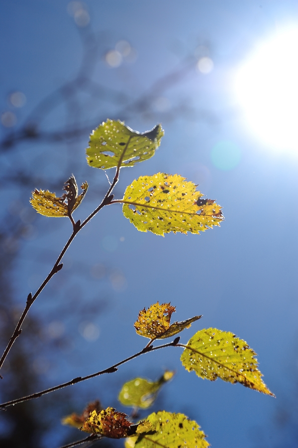 DSC_5673.jpg