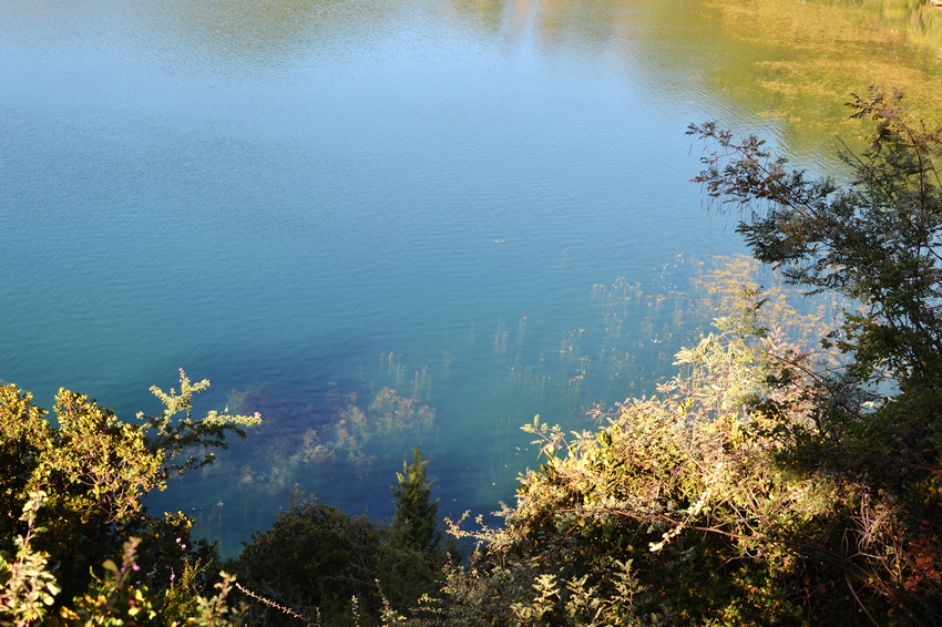 DSC_0649.JPG