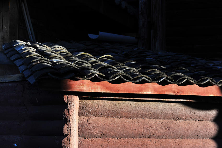 DSC_1786.JPG