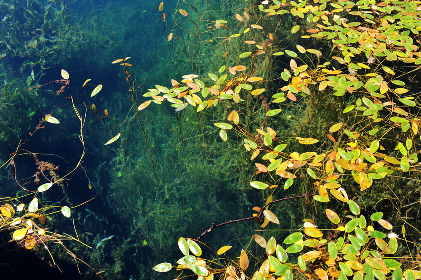 DSC_2060.JPG