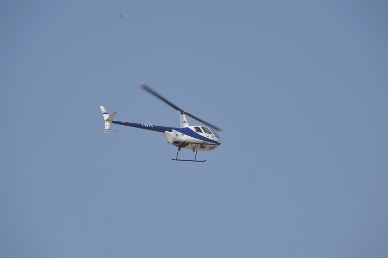 DSC_7839.JPG