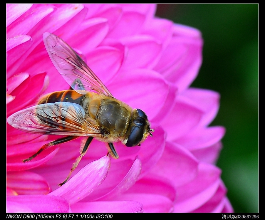 DSC_4789.jpg