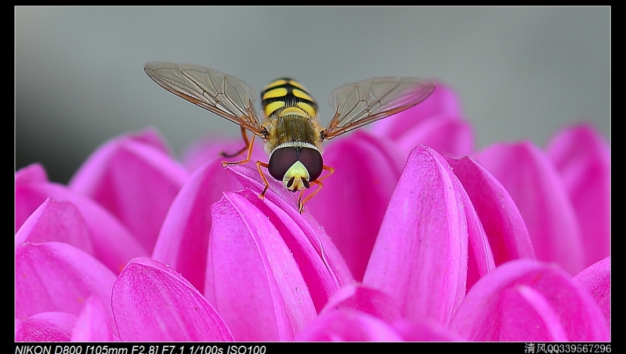 DSC_4791.jpg