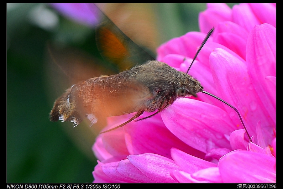 DSC_4812.jpg