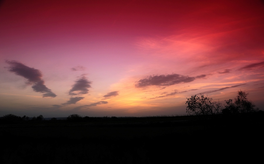 夕阳1.jpg