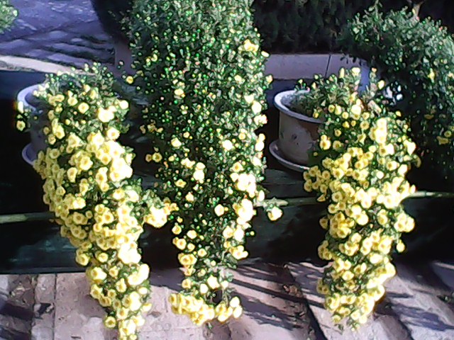 IMG00067.jpg