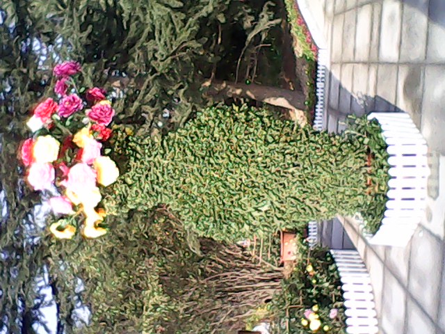 IMG00069.jpg