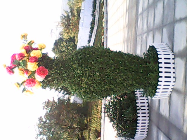 IMG00070.jpg