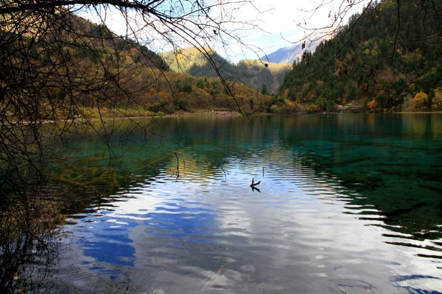 九寨，黄龙风光 120.jpg