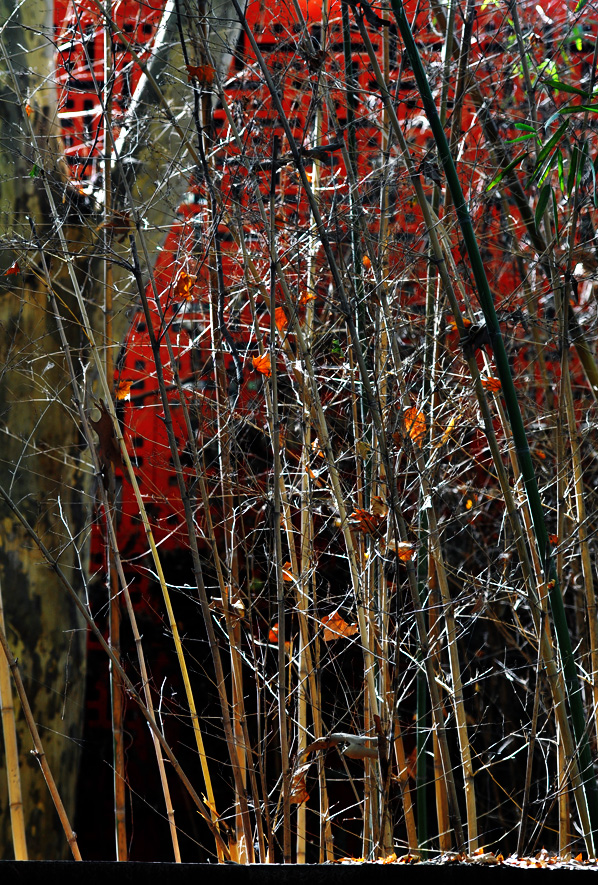 DSC_0035.JPG