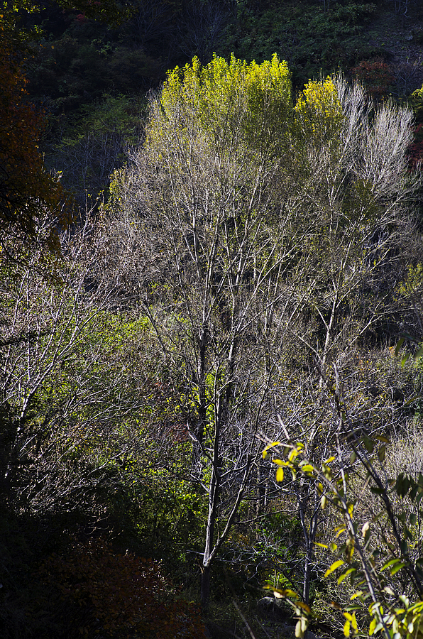 IMGP9348.jpg