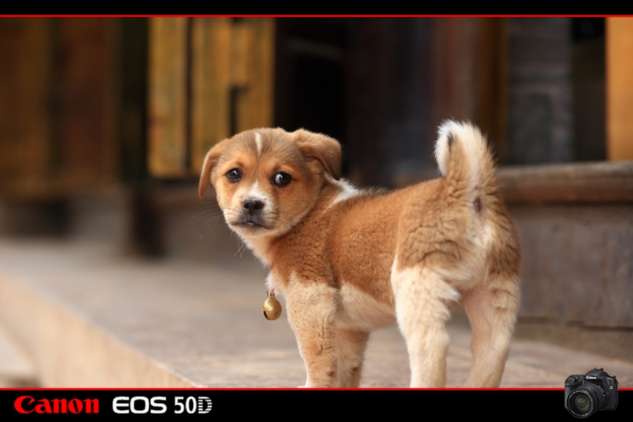 toto5056.jpg