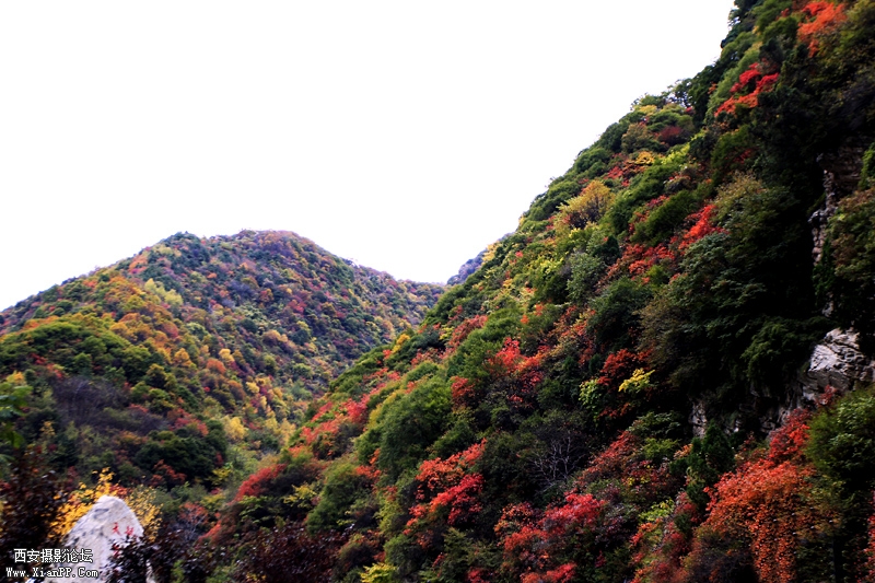_MG_7982.jpg
