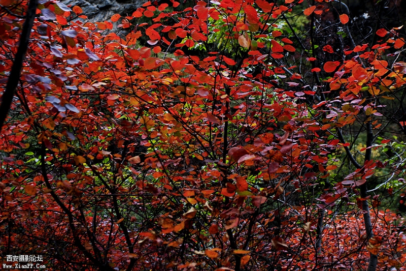 _MG_8060.jpg