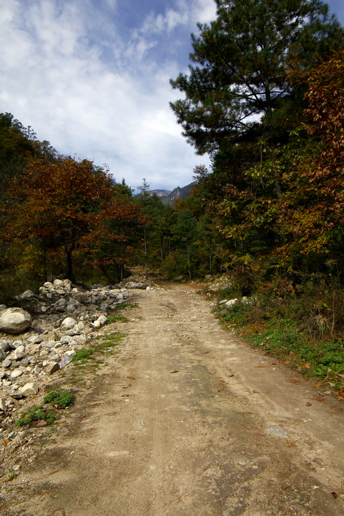 _IGP9272.JPG