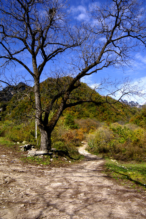 _IGP9362.JPG
