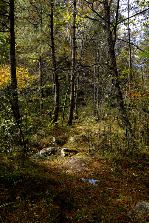 _IGP9344.JPG